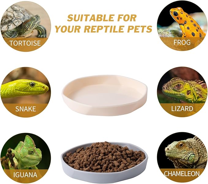 COMSUN 4 Pack Small Reptile Food Dish Bowl, Plastic Worm Water Dish Plate for Lizard Gecko Bearded Dragon Chameleon 4" W x 4" D x 0.5" H, White and Grey
