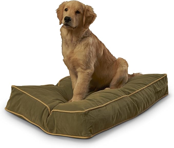 South Pine Porch Buddy Reversible Rectangle Pillow Style Microfiber Dog Bed with Removable, Machine-Washable Cover, Moss, Small (36 in. x 24 in.)