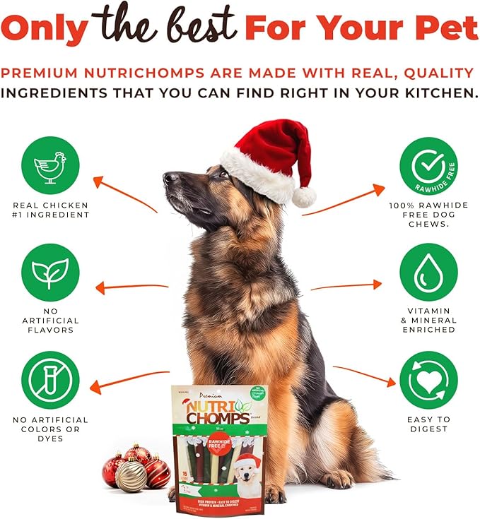 NutriChomps Dog Chews, 5 inch Sticks, Mint Flavor, 15 Count, Easy to Digest, Rawhide Free, Holiday Stocking Stuffer Treats, Christmas Gift for Dogs
