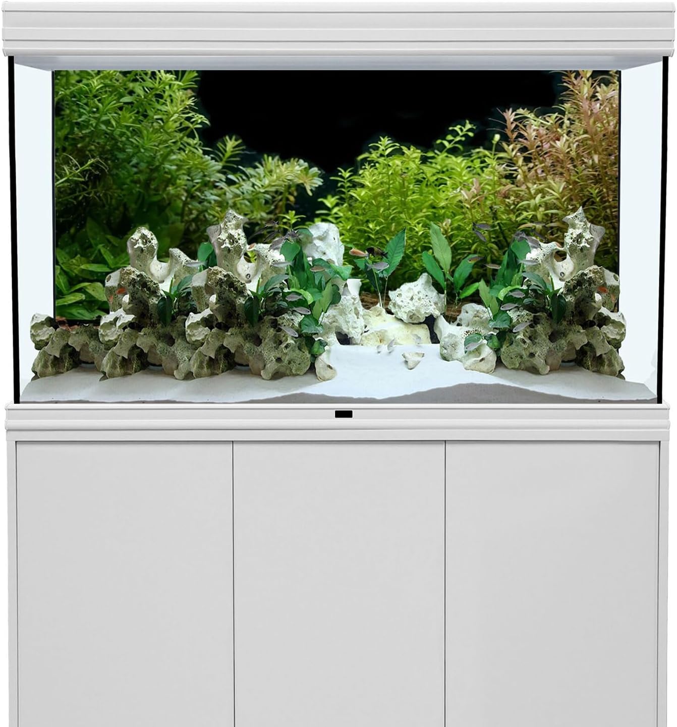 AWERT Aquarium Background River Bed & Lake Aquatic Plant Fish Tank Background Vinyl 36x18 inches