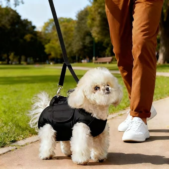 Portable Small Dog & Cat Pet Carrier Sling & Backpack for Small Dogs & Cats & Puppy, Dog & Pet Purse Bag Carrier Sling for Small Dogs with Dog Traction Leash, Crossbody Sling Carriers (Black M)
