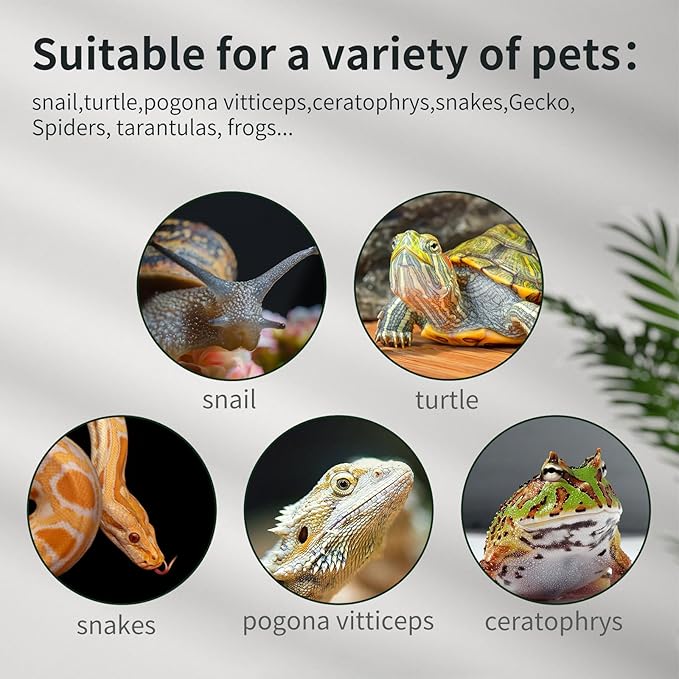Reptile Glass Tank 16"x11"x9" Terrarium with Top Opening and Screen Ventilation for Leopard Gecko,Lizard,Hermit Crab,Snake,Spider,Frog,Bearded Dragon,Turtle with Feeding Tongs