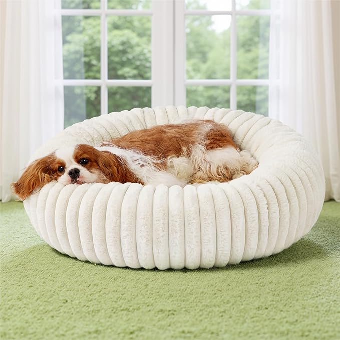 Bedsure Donut Medium Dog Bed 30x30x8 inches with Waterproof Dog Blankets for Medium Dogs 30"x40", Cream