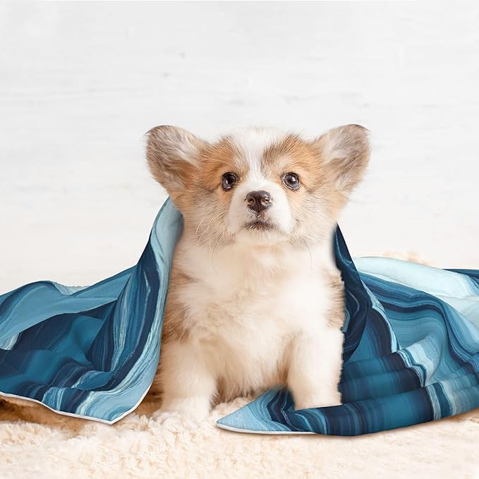 Waterproof Dog Blanket Soft Pet Blanket for Puppy Cat, Fleece Cat Throw Blankets for Furniture Bed Couch Sofa Reversible - Teal Turquoise Fluid Stripes