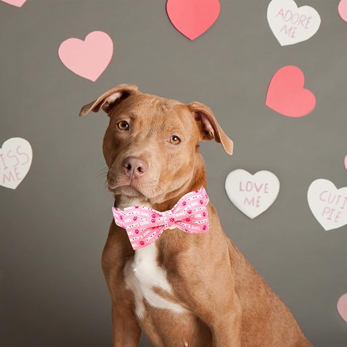 Lionheart glory Dog Bow Collar Valentine's Day Dog Collar for Medium Dogs, Pink Dog Collars with Bowtie Spring Dog Collar Pet Collar Bows