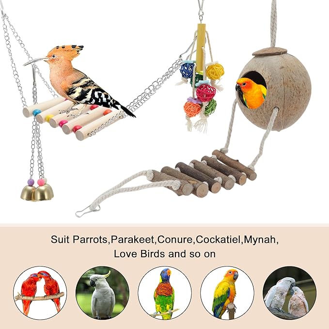 Cockatiel Toys, Bird Toys, 6 Pcs Multifunctional Natural Coconut Hideaway with Ladder Swing Hanging Bell Toy, Parrot Toys, Bird Cage Accessories