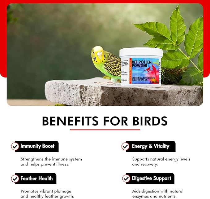 Morning Bird Bee Pollen Powder for Birds 3 Oz – Complete Nutrition with Protein, Amino Acids & Immune Support – Bird Vitamin & Mineral Supplement for Daily Health & Wellness