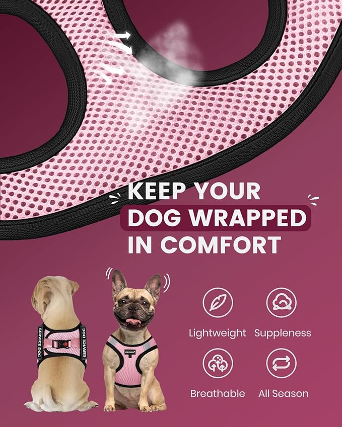 FAYOGOO Service Dog Vest for Small and Medium Breed - Lightweight Dog Harness with 6PCS Removable Patches - Puppy Harness and Leash Set for Walking, Training
