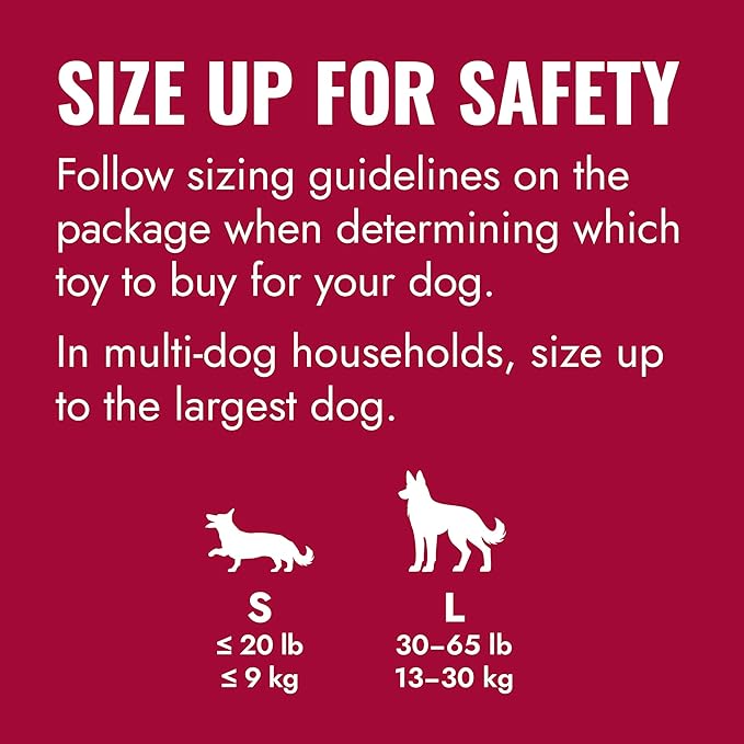 KONG Flyer - Durable Dog Toy for Outdoor Playtime - Natural Rubber Flying Disc, Dog Toy for Fetch - Safer Disc for Healthy Activity - for Small Dogs