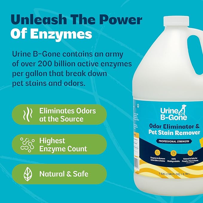 Urine B-Gone, Professional Enzyme Odor Eliminator & Pet Stain Remover, Human, Cat & Dog Urine Cleaner, Effective on Laundry, Carpets & More, Original Scent, 1 Gallon