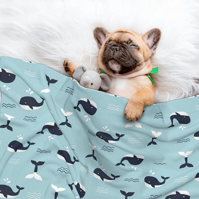 Two Sided Plush Pet Blanket for Crates Carriers Home Use, Whale in Ocean Pattern, Reversible Throw with Cozy Dot Fabric and Silky Reverse for Small Large Pets