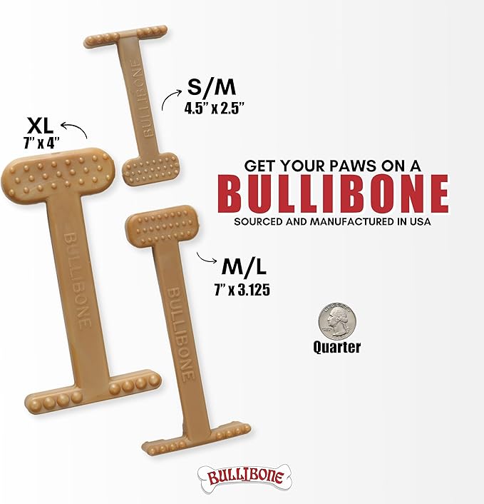 Bullibone Nylon Dog Chew Toy for Aggressive Chewers - Dental Hygiene Bone with Beef Flavor, Durable Tough Chew Toys for Large Dogs, Indestructible Dog Bone - Single