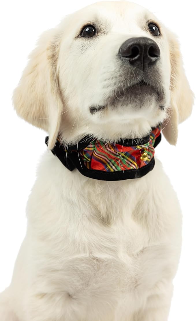 Huxley & Kent Ruff Pet Scrunchy | Shiny Christmas Plaid (Small) | Festive Christmas/Holiday Neckwear for Dogs/Cats | Fun Stretchable Costume Accessory | Soft Collar with Bells