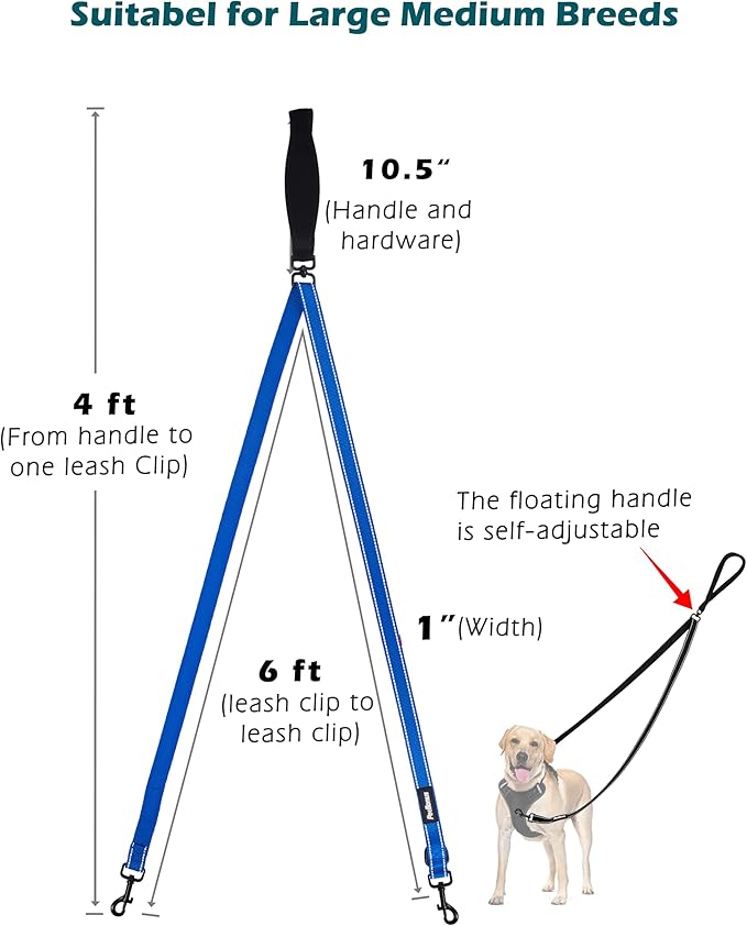 PetBonus Two Point Control Dog Leash, Works with No Pull Harnesses, No Tangle Training Leashes, Soft Padded and Reflective Walking Lead, Converts to Single Lead for Medium Large Dogs (Blue)