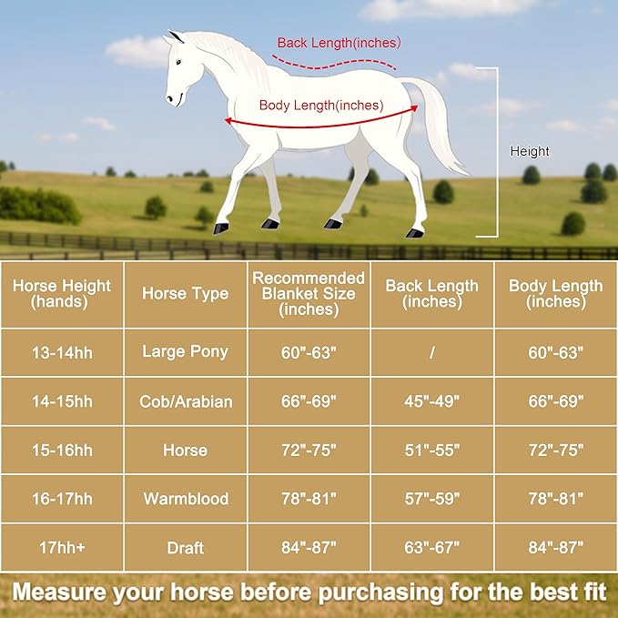 Horse Fleece Cooler, Blanket Liner - 300g Anti-Pilling Fleece, Moisture-Wicking, Cooling & Drying for Post-Workout, Bath & Travel, Prevent Overheating & Chilling Lightblue 72