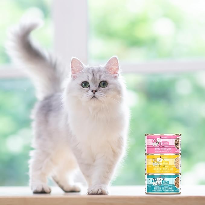 Weruva Cats in The Kitchen, Kitty Gone Wild Wet Cat Food, 10oz Can (Pack of 12)