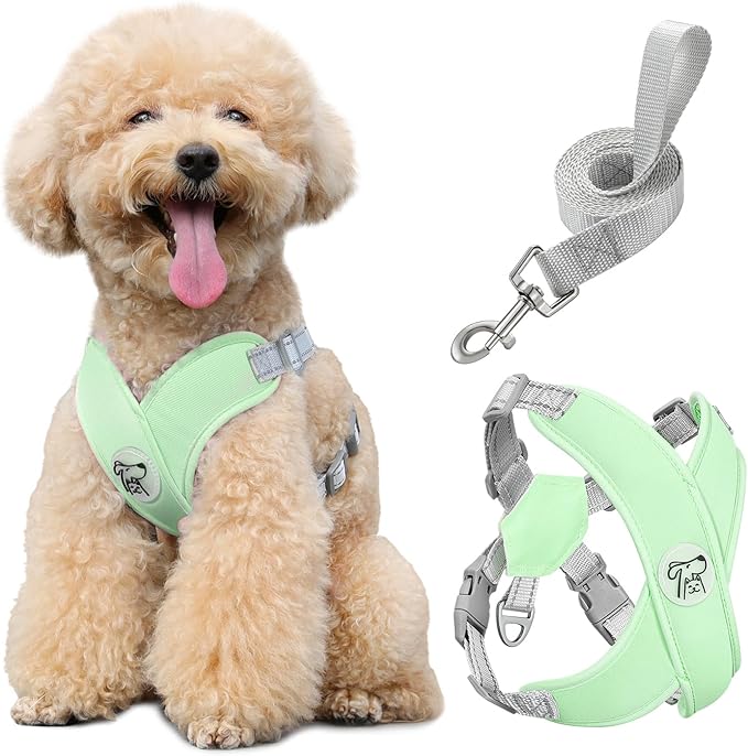 Pawaboo Small Dog Harness and Leash Set, Puppy Harness X-Frame No Pull No Choke, Dog Vest Harness Adjustable for Small Medium Sized Dogs, Soft Breathable Pet Harness for Walking Outing, M, Mint Green