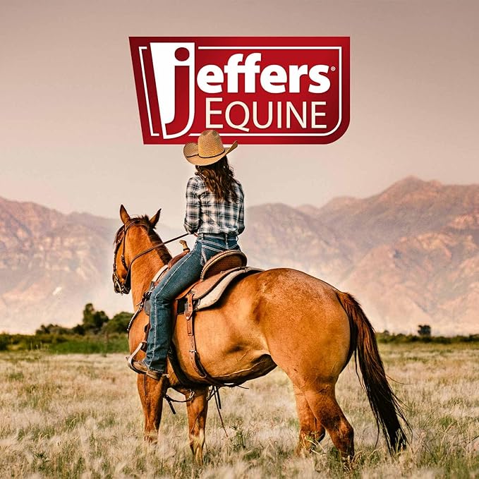 Jeffers Equine Black Coat Shampoo for Horses – Enhances Black & Bay Coats, Soap & Detergent Free, Coconut Oil Formula with Aloe & Vitamin E – Deep Cleansing Horse Grooming & Show Prep – 16 oz