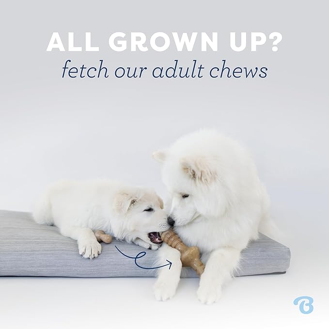 Benebone Puppy Maplestick Dog Chew Toy, Made in USA, Real Maple Wood Flavor, Small, Brown
