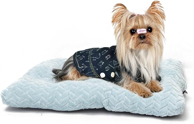 Dog Bed for Small Dogs Crate Washable 22 inch Dog Mats for Sleeping,Up to 15 lbs Soft and Fluffy Washed Blue