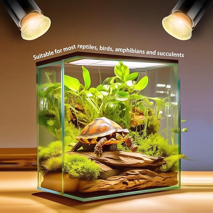 50W UVA UVB Bulbs, 6-Pack Light Turtle Heat Lamp for Reptiles and Amphibian Tanks, Terrariums and Cages, Fit E26 Heat Reptile Lamp,Works with Various Lamp Fixtures