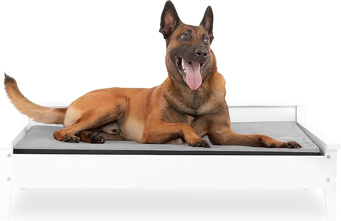 Wooden Dog Bed with Water-Resistant Mattress, Larget to Extra Large Elevated Pet Bed with Calming Pet Mattress, Greenguard Gold Certified, Modern Dog Couch, Winston - TailZzz