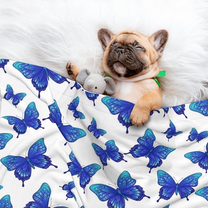 Double Sided Pet Throw for Dogs Who Shed, Butterflies Blue Purple, Reversible Blanket with Nubby Dot Side Catches Loose Fur for Easier Furniture Cleanup