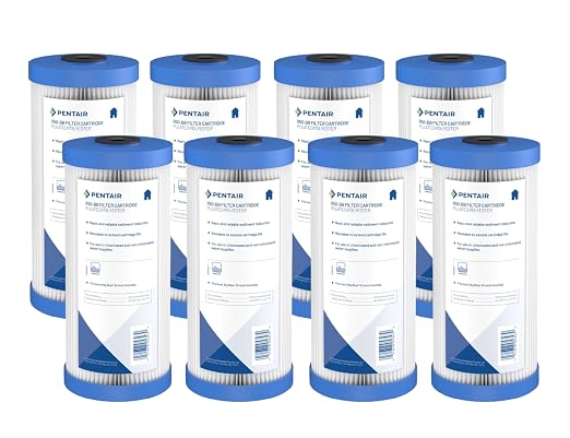 Pentair Pentek R50-BB Big Blue Sediment Water Filter, Whole House Pleated