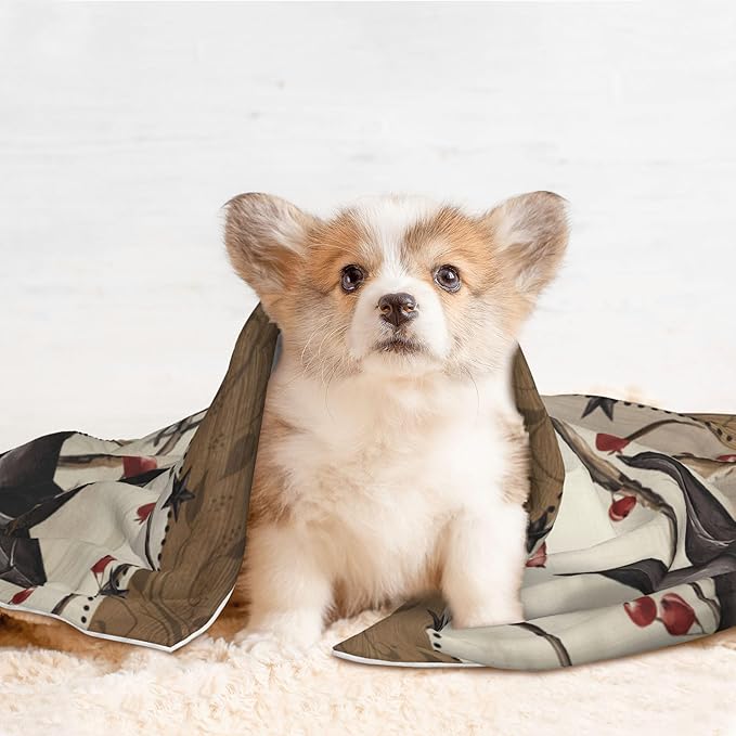 Western Throw Blanket - Rustic Star Blanket for Dog Cat Farmhouse Pet Blankets 23x16 for Couch Sofa Bed