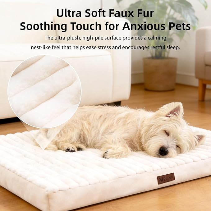 Orthopedic Dog Bed with Firm High-Density Egg Crate Foam,Soft Short Plush Surface Pet Beds,Machine Washable with Removable Cover & Non-Slip Bottom for Medium/Large Breeds (Beige, 35"L x 22"W x 3"H)
