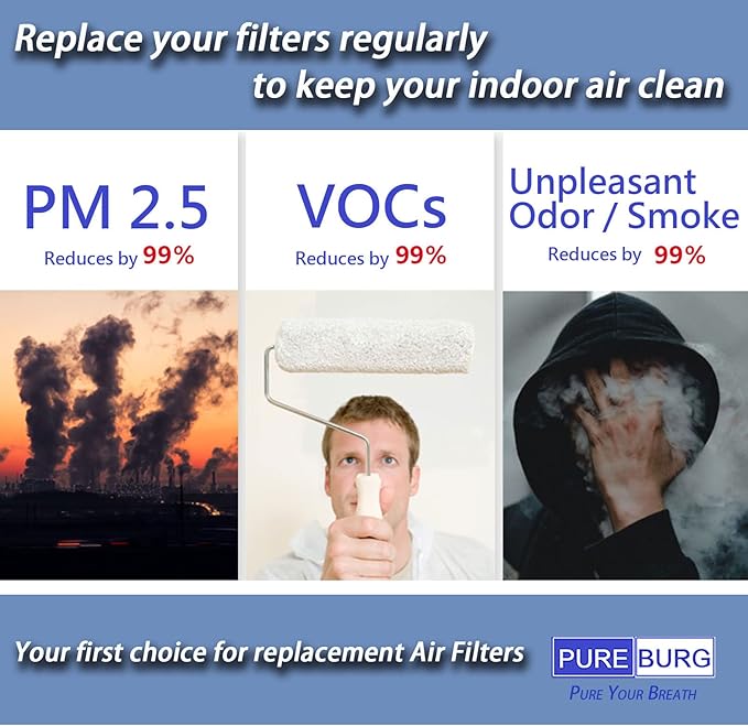 PUREBURG 182550 Replacement Filter Compatible