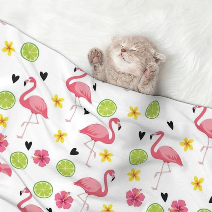 Dog and Cat Blanket in One, Cute Pink Flamingo, Double Sided Plush Throw with Raised Dot Pattern on One Side and Flat Velvet on Other for Variety