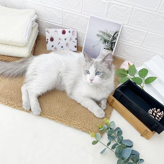 Dog Bed Pad Soft Comfortable Lamb Wool Pet Sleeping Mat Durable Pet Bed Mat for Indoor Use Gift for Dogs Cats Small Medium Large Pets (Brown)