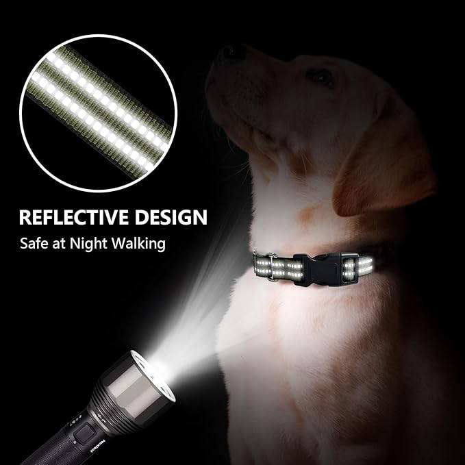 Martingale Dog Collar, Adjustable Nylon Reflective Collar with Quick Release Buckle (Forest Green, Large)