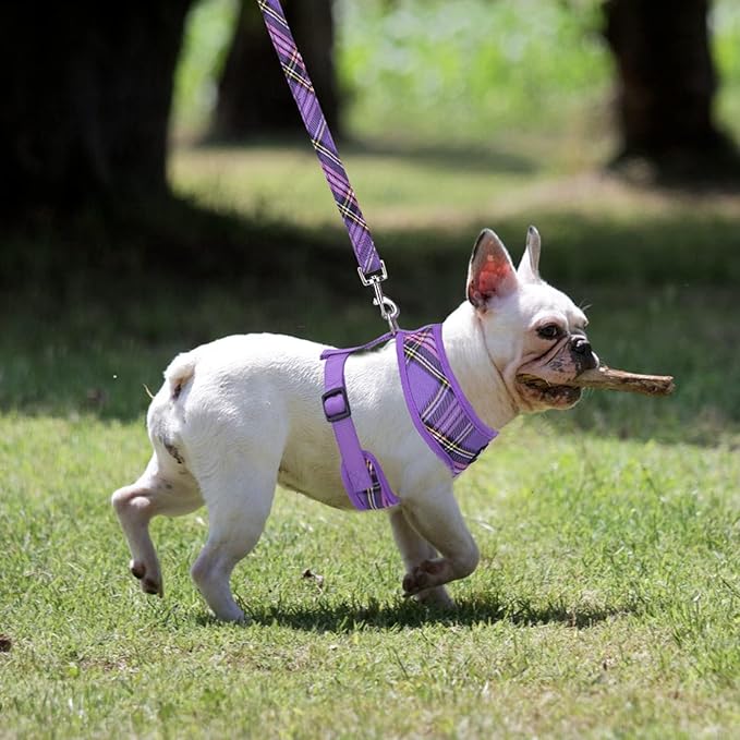 PUPTECK Soft Mesh Dog Harness and Leash Set Pet Puppy Cat Comfort Padded Vest No Pull Harnesses, Purple, S