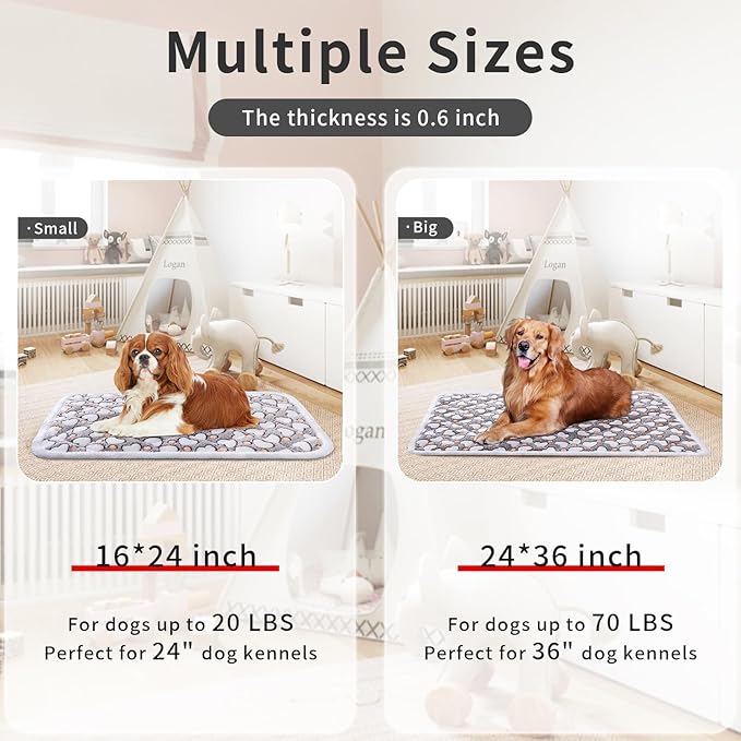 Soft Reversible Dog Crate Pad 2Pcs - 24x16 Inch, Plush Pet Mat, 0.6-inch Thick, Ideal for Small Dogs, Machine Washable
