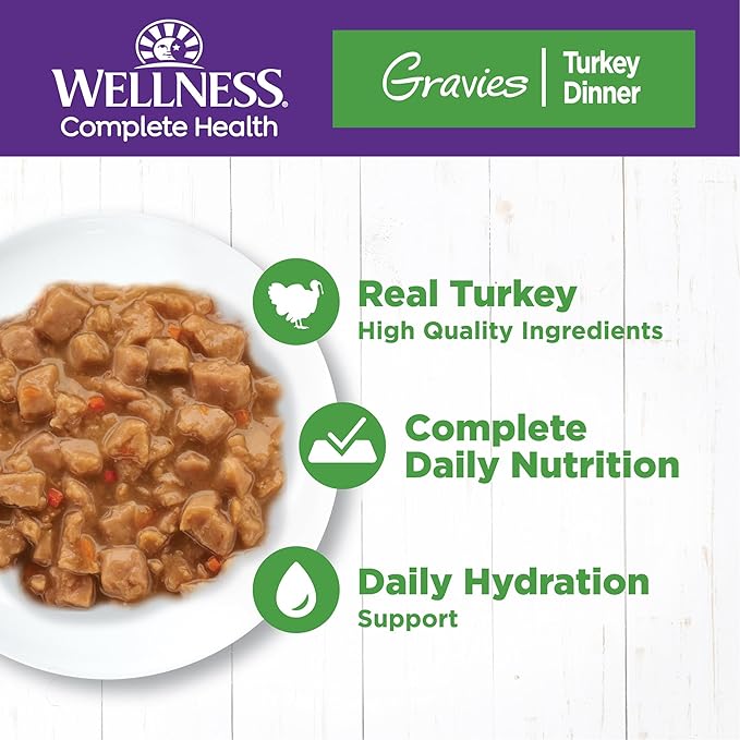 Wellness Complete Health Gravy Adult Wet Cat Food, Natural, Protein-Rich, Grain Free, 5.5 Ounce, 12 Pack, (Turkey Dinner)