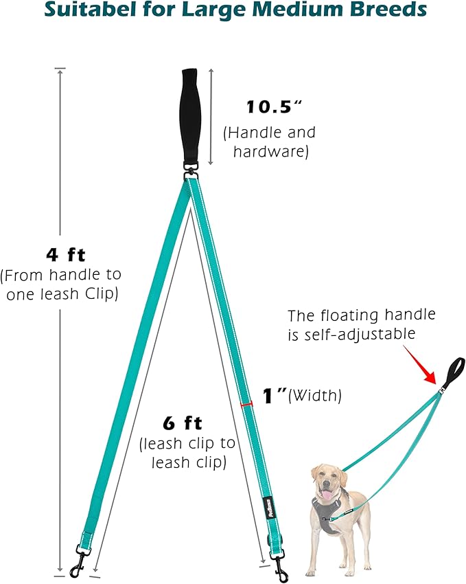 PetBonus Two Point Control Dog Leash, Works with No Pull Harnesses, No Tangle Training Leashes, Soft Padded and Reflective Walking Lead, Converts to Single Lead for Medium Large Dogs (Turquoise)