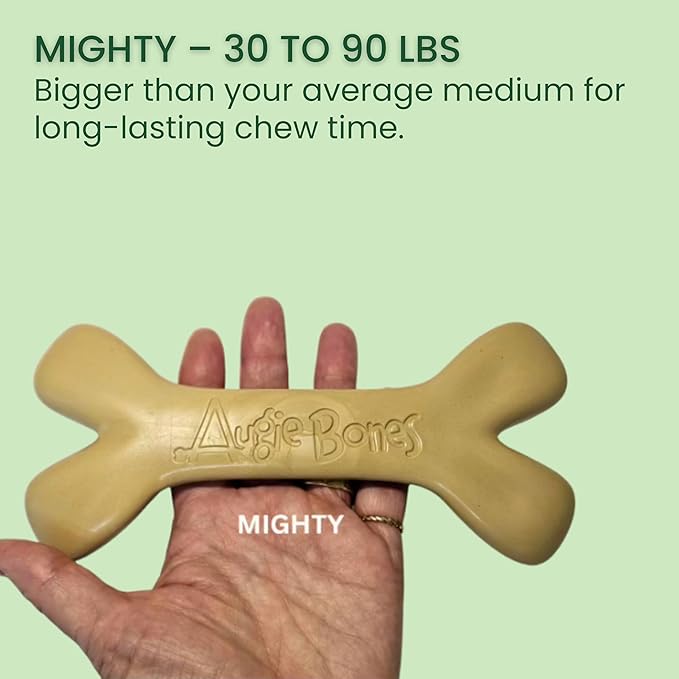 2-Pack Non-Toxic Dog Toys - Sustainable Beef Flavored Dog Chew Toys for Aggressive Chewers - Plant-Based Bioplastic Pet Toys - Made in The USA (Mighty)