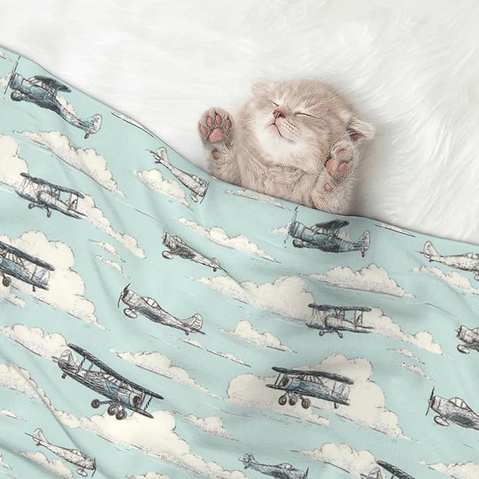 Waterproof Dog Blanket Soft Pet Blanket for Puppy Cat, Fleece Cat Throw Blankets for Furniture Bed Couch Sofa Reversible - Airplanes in The Sky 1