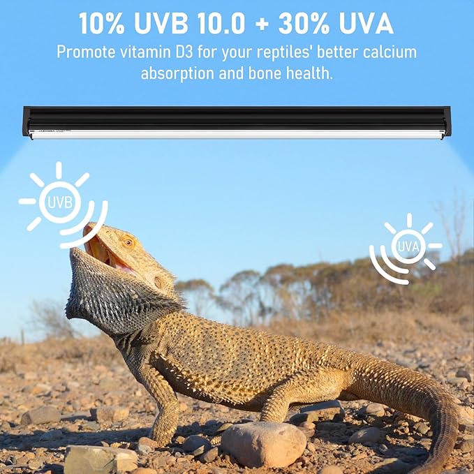 T5 10.0 UVB Reptile Light Fixture, 39W UVA UVB HO Light Bulb for Reptiles,Bearded Dragon, Leopard Gecko,Tortoise, 34" Inch Reptile T5 Tube