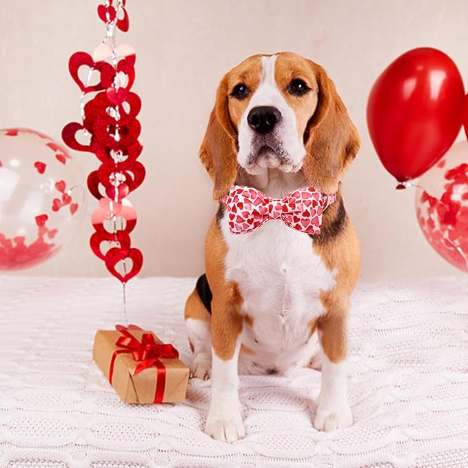 Lionheart Glory Valentine's Day Dog Collar with Bowtie for X-Large Dogs