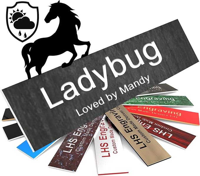 Personalized Horse Stall Name Plates, 2x8 Horse Stall Signs with Adhesive, All Weather UV Protected, Ash Plastic White Letters - Made in USA - N1