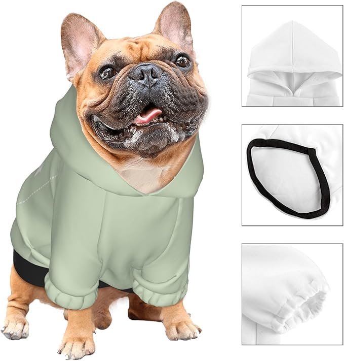 Personalized Chihuahua Dog Hoodie, Custom Pet Warm Sweatshirt Costume with Name Number Photo, Customize ID Clothes for Pupppy Kitten Dogs Cats, LightGreen, XL