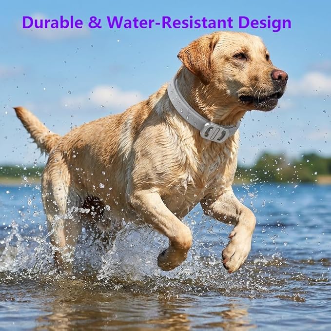 Flea and Tick Collar for Dogs 4 Packs,Dog Collars with Natural Essential Oils,Waterproof, Adjustable for Small Medium Large Dogs,Safe for Puppies (Gray)