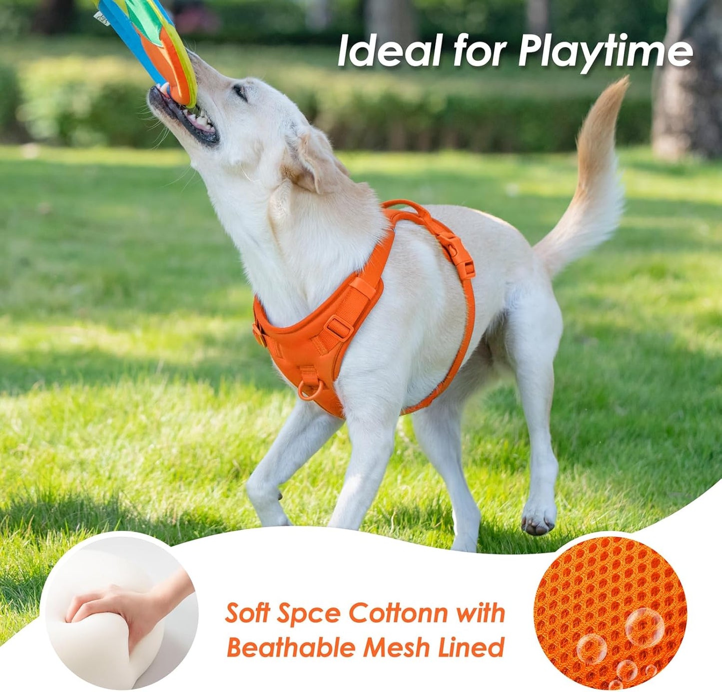 No Pull Dog Harness, Puppy Vest with Front Clip for Small Medium Large Sized Dog(Orange,M)