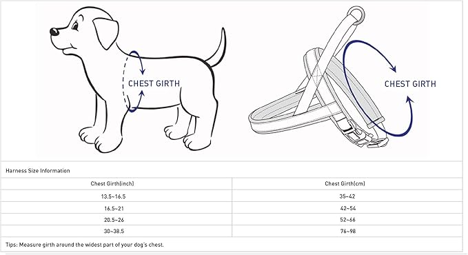 Blueberry Pet 4 Colors Soft & Comfy 3M Reflective Jacquard Padded Dog Harness, Chest Girth 20.5" - 26", Purple Grey, Medium, Adjustable Harnesses for Dogs