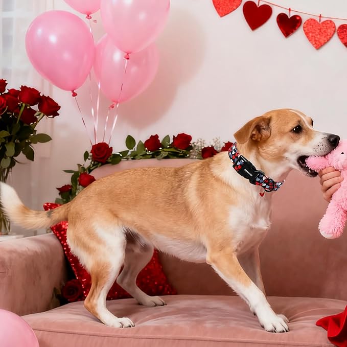 DOGWONG Red Heart Dog Collar, Cute Valentine Collar, Valentine's Day Dog Collar with Strong Plastic Buckle for Small Medium Large Dogs,L