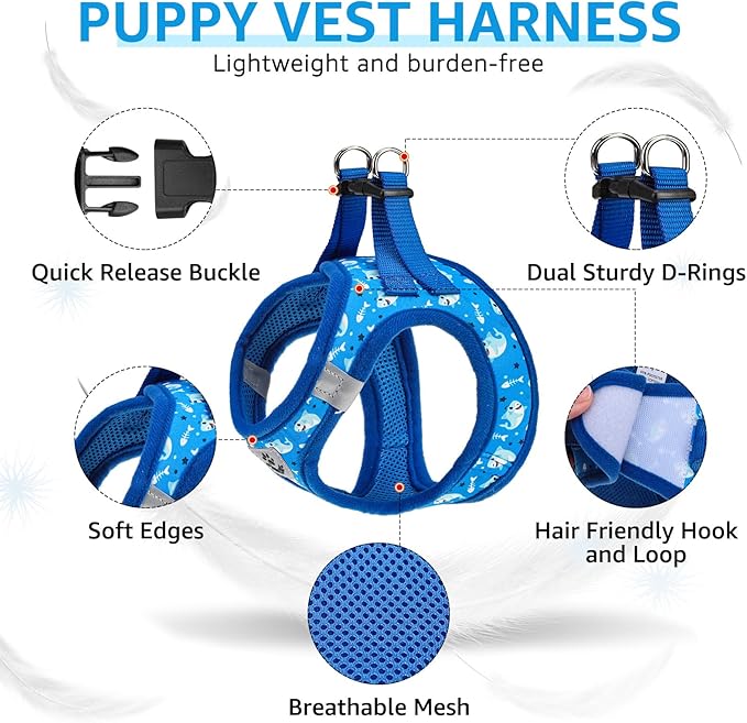 SCENEREAL Small Dog Harness and Leash Collar Set, Step in Soft Light Puppy Vest, Breathable Pet Harness for Small Sized Dogs, No Chock Reflective for Safe Outdoor Walking, Blue Shark S