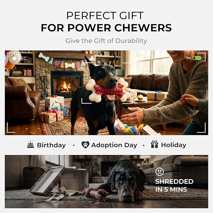 10-Pack Indestructible Dog Toys for Aggressive Chewers: Beef Flavored Hard Nylon Bone Chew Toys, Tough Dog Chew Toys for Large Dogs, Dog Toys to Keep Them Busy for Medium Large Breed, Red